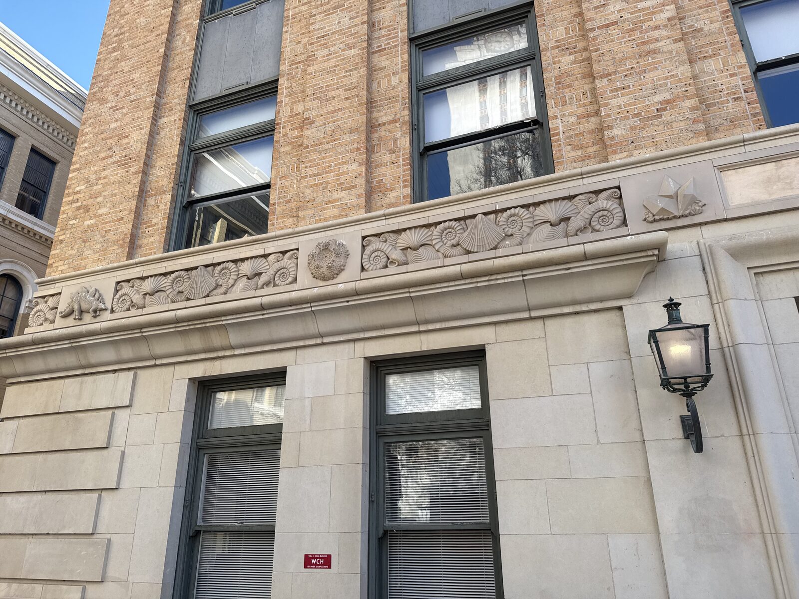 Fossil carvings on the Will C. Hogg Building at UT Austin